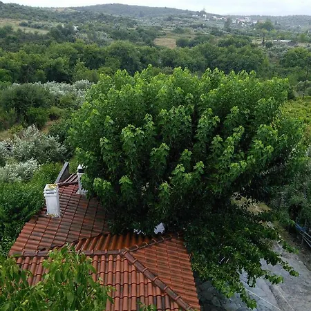 Eleni's Village Relaxation * Edipsos