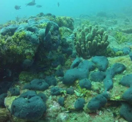 Apartment Eleni's Village Relaxation *