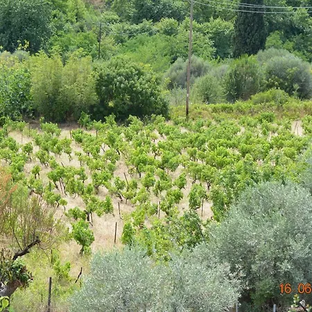 Eleni's Village Relaxation Daire Edipsos