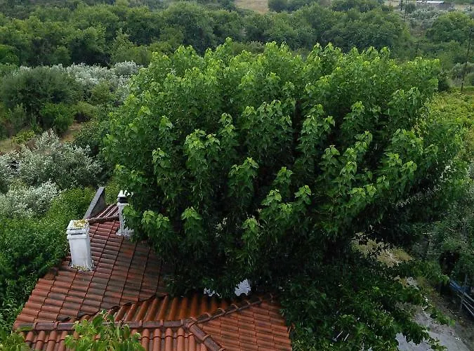 Eleni's Village Relaxation * Edipsos