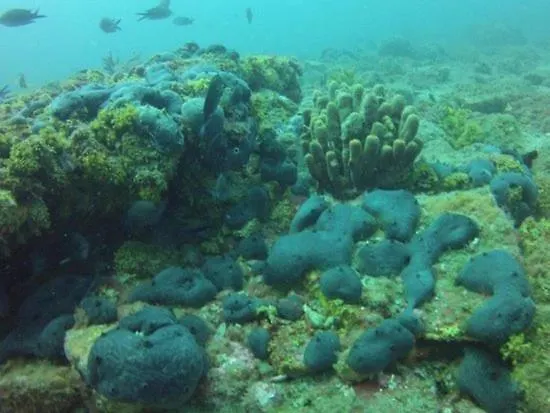 Apartment Eleni's Village Relaxation *