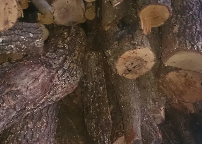 Eleni's Village Relaxation Apartment